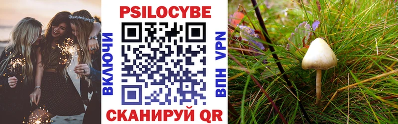 купить наркотик Алатырь Галлюциногенные грибы ЛСД