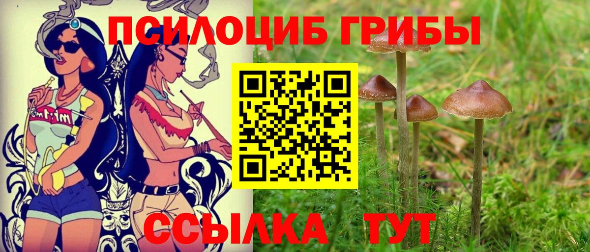 Алатырь  Псилоцибиновые грибы Psilocybine cubensis  Вход с VPN  Галлюциногенные грибы MAGIC MUSHROOMS 
